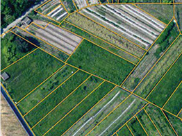 地籍要素調查與測量
